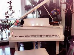 上课实景-圣典成人钢琴俱乐部(国贸旗舰校区)