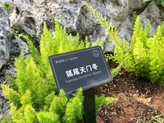 -东莞植物园