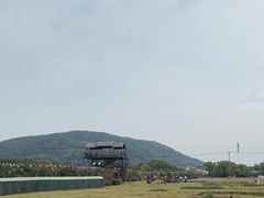 -苏州太湖西山岛开心农场