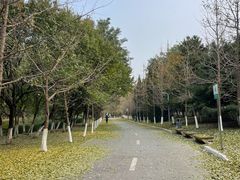 -长白岛森林公园