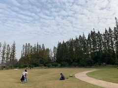 -上海长兴岛郊野公园