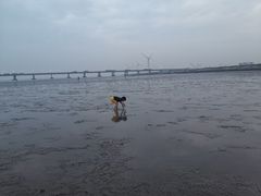 -南汇新城海滩