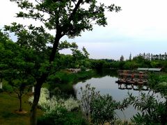 -上海长兴岛郊野公园