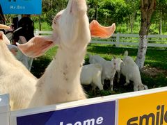 -桃园农庄·桃源宴