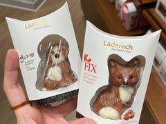 -Laderach 莱德拉(上海环贸iapm店)