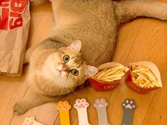 -麦当劳(江滨北路得来速餐厅)