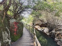 -梁野山景区