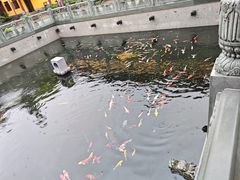 -太平禅寺