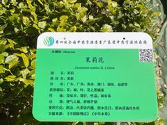 -广东中医药博物馆