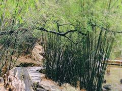 -卡定沟景区