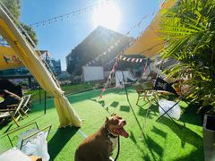 -CAMP.33露营烤肉·团建聚餐(创智天地店)