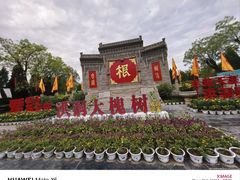 -大槐树寻根祭祖园