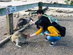 -费瑟代尔野生动物园