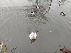 -朝阳公园