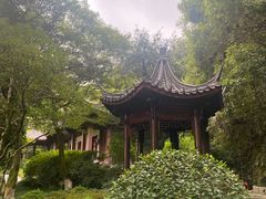 -杭州西湖风景名胜区-满觉陇四眼井