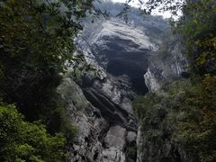 -余家庄肥肠鱼地方汤锅(银杏大道店)