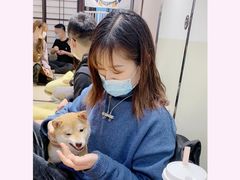 -逗柴咖啡屋·狗咖猫咖宠物桌游