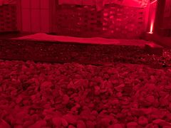 -汤泉良子·沐足·颂钵疗愈·SPA(珠江新城店)