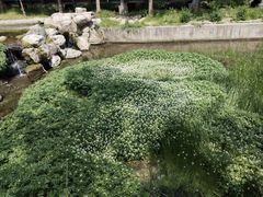 -白水寺森林公园