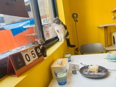 -22cafe