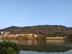 -广州市流溪河国家森林公园