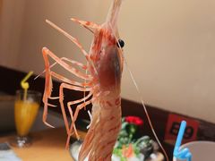 -三石铁板烧(紫竹桥店)