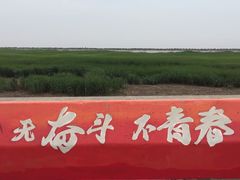 -南汇嘴观海公园