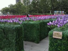android_upload_pic-银座mall(东直门店)