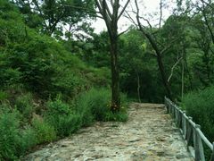 小径-招虎山国家森林公园-售票处