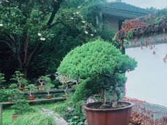 -水绘园