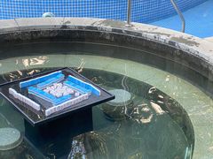 -惠州金海湾嘉华度假酒店