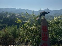 -苍岩山风景名胜区