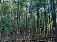 -青山湖景区