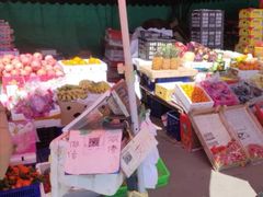 -韩家墅海吉星农产品批发市场