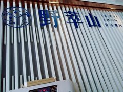 -野萃山·潮汕厚果汁(十亩地店)