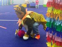 -超级奈尔宝SUPER NEOBIO(杭州星光店)