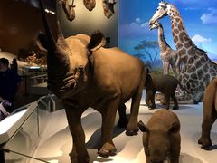 -贝林大翅鲸简餐厅(国家海洋博物馆店)