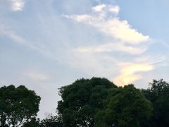 -汤山公园