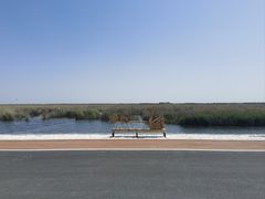 -南大港湿地风景区