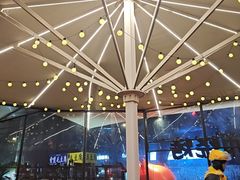 -何师烧烤Pro ·江湖川菜·小龙虾·精酿(太古里旗舰店)