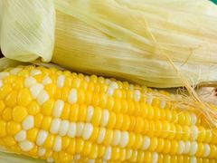 -光明刘冰乳鸽店(光明法政北路店)