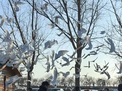 -天津妈祖文化园