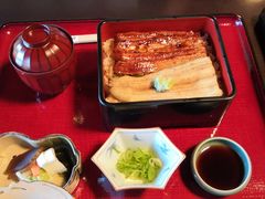 -料亭菊水楼