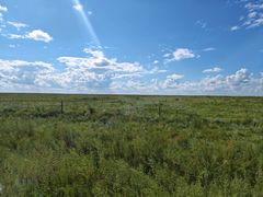 -顶顶汤火牛排火锅·经典铜锅涮肉