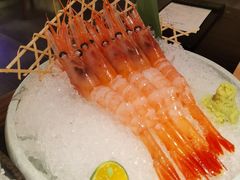 -山葵家·创意料理(EFC欧美广场店)