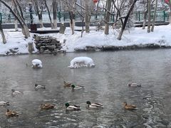 -水磨沟公园