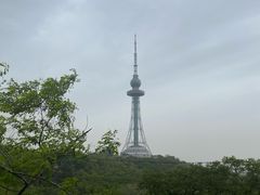 -青岛电视塔
