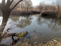 -长兴太湖图影湿地文化园