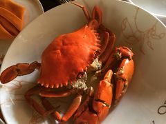 -Ministry of Crab(科伦坡店)