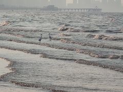 -烟台金沙滩海滨公园